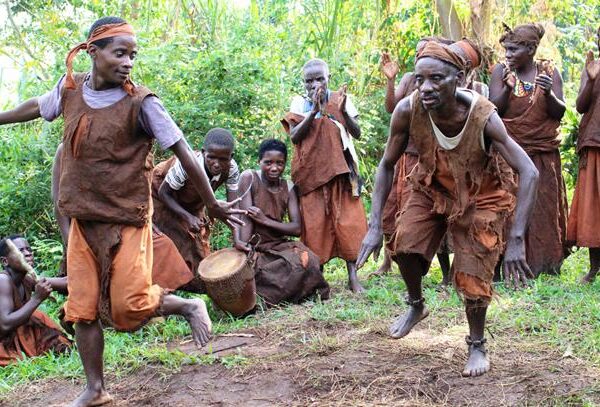 batwa experience go primate safaris