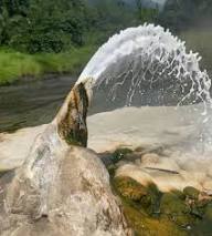 go primate safaris hot springs of Semuliki hot springs